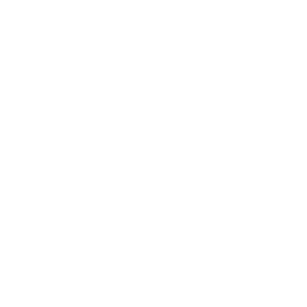 Logo Diamant